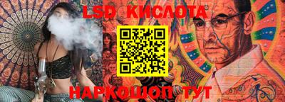 spice Кингисепп