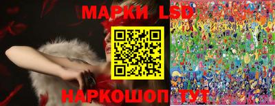 spice Кингисепп