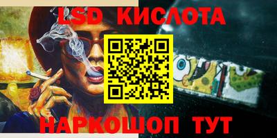 spice Кингисепп
