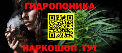 spice Кингисепп