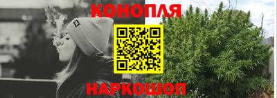 spice Кингисепп