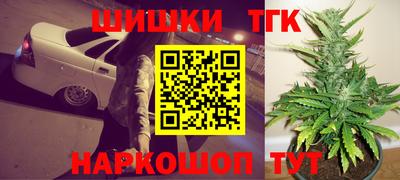 spice Кингисепп