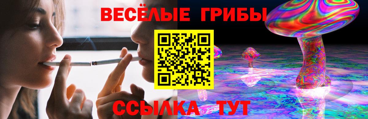 Избербаш  Псилоцибиновые грибы Psilocybe  Вход с VPN  Псилоцибиновые грибы прущие грибы 